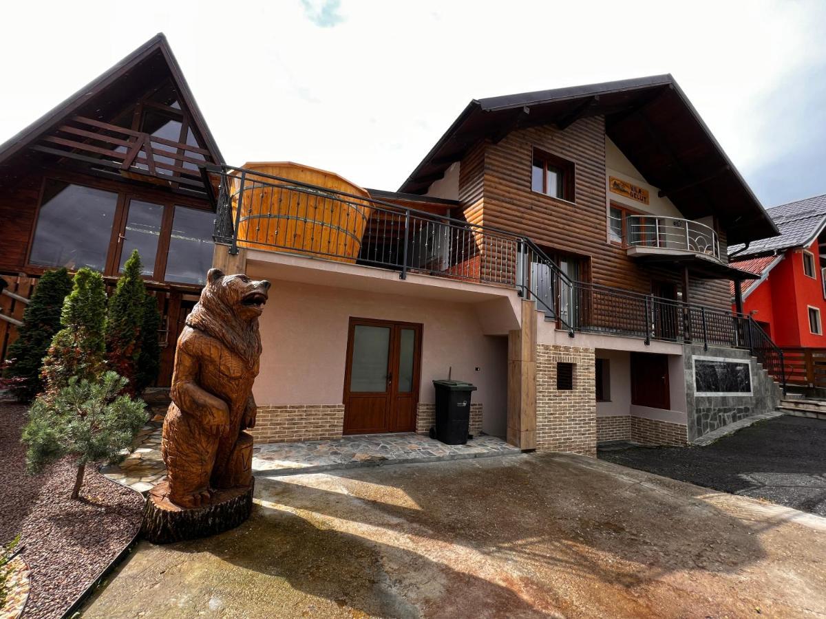 Vila Delut Borsa  Exterior photo
